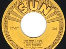 SLIM RHODES - Do What I Do - Sun 256 Rockabilly 45