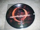 NEW A Perfect Circle Mer de Noms 12