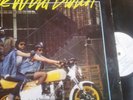 MAD PROFESSOR - THE WILD BUNCH / ARIWA LP