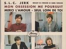 LES LIONCEAUX