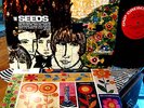 1967 Orig  THE SEEDS   FUTURE Psych Garage FLOWER POWER