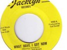Northern Soul rare DARROW FLETCHER What Have I Got Now