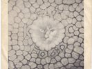 KING CRIMSON Groon / Cat Food RARE Norway 45 prog psych