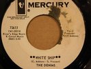DENIMS *White Ship* Salty Dog Man Garage Punk 45