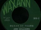 ANN WILLIAMS Ocean Of Tears Northern Soul Popcorn 45