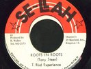 T BIRD EXPERIENCE TONY STEER Roots in Roots reggae 45