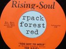 Funk  45 - THE U-F-O'S - Too Hot To Hold -  RISING SUN