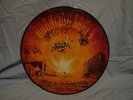 THE BOUNCING SOULS The Gold Record PICTURE DISC LP RARE