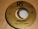 HEAR Obscure Surf Garage 45 JOHNNY JONES & CATALINAS