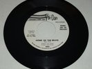 BONNIE & THE TREASURES Rare Phil Spector Label 45 NM- 