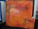 Trail Of Dead Source Tags And Codes Lp Modest Mouse OOP