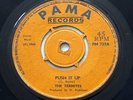 THE TERMITES, PUSH IT UP, PAMA, SKA, ROCKSTEADY