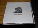GUIDED BY VOICES DO THE COLLAPSE LP ROBERT POLLARD OOP