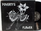 POVERTY'S FLOWER Wilderness LP xian folkrock + girl mp3