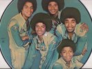 Michael Jackson/Jacksons Picture Disc Promo Only (76)