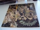 PARLIAMENT Osmium RARE ORIG. PSYCH FUZZ FUNK NM LP