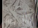 Random – “Nothin Tricky” LP rare private prog LP