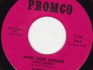 NORTHERN SOUL 45 RPM - SAMMY LEE on PROMCO RECORDS