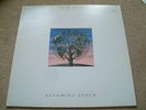 TALK TALK laughing stock UK ORIG 1991 VERVE LBL LP FAIR