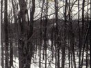 S.W./AKITSA    split  7'  horna  drowning the light