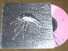 RAEIN / DAITRO SPLIT 10