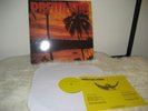 Predator Vision / Sun Araw Split 12-inch LP nnf