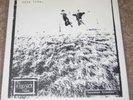 BOYS LIFE / SECULAR THEME split emo saetia current