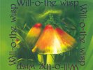 WILL O THE WISP - GREEK RARE LP LIMITED