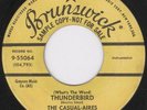 Tittyshaker 45-Casual-Aires-Thunderbird-Brunswick-Hear