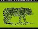 NINO NARDINI/ROGER ROGER-Jungle Obssession-71 EXOTICALP
