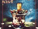 Pearl Jam - Chistmas Single 2009 - Turning mist / NEU