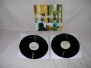 Bonobo 