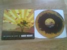 Have Heart - The Things We Carry LP RAR Verse sxe hc