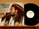 KEITH HUDSON-Steaming Jungle-/US '82 Disc-Disk ORIG LP