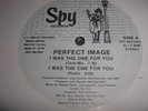 Freestyle, PERFECT IMAGE I Was The One For You 12