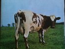 Pink Floyd - Atom Heart Mother Harvest No EMI Box Mint