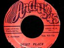 QUIET PLACE - THE PARAGONS ANDY'S JA 45 7