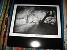 BARN OWL LP Tom Carter evan camaniti charalambides