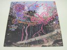 Animal Collective 