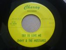 JIMMY & THE MUSTANGS try to love me MONSTER GARAGE 45