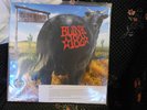 Blink 182 DUDE RANCH LP most limited edition 147 nofx