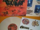 SAXON - DOGS OF WAR 