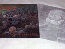 Suffocation : Effigy Of The Forgotten, Vinyl LP 1991