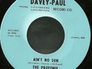The Profonix Ain't No Sun Detroit Northern Soul 45 HEAR