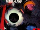 The Spotnicks In Winterland