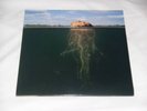 MARS VOLTA de-loused in the comatorium 2 LP w/poster