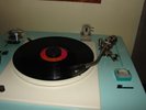 The Mutual Understanding LP In Wonderland Pokora Psych