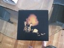 Pearl Jam vinyl lp Riot Act