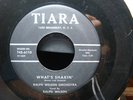 R&B ROCKER RALPH WILSON  What's Shakin'  CLICK TO HEAR