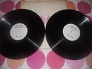 CONCERT FOR DARWIN - 2 LP TEST PRESSING - BRIAN CADD +